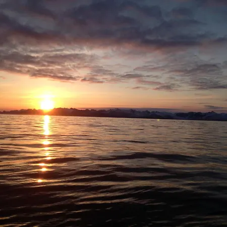 Accommodatie bij particulieren For Rent In - Close To Everything - Good Facilities Tromsø